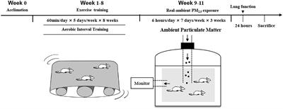 Amelioration of Ambient Particulate Matter (PM2.5)-Induced Lung Injury in Rats by Aerobic Exercise Training